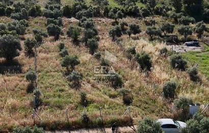 TORBALI DİRMİL TOPTEPESİ MEVKİİNDE 632 m² HİSSE TAPULU ARSA