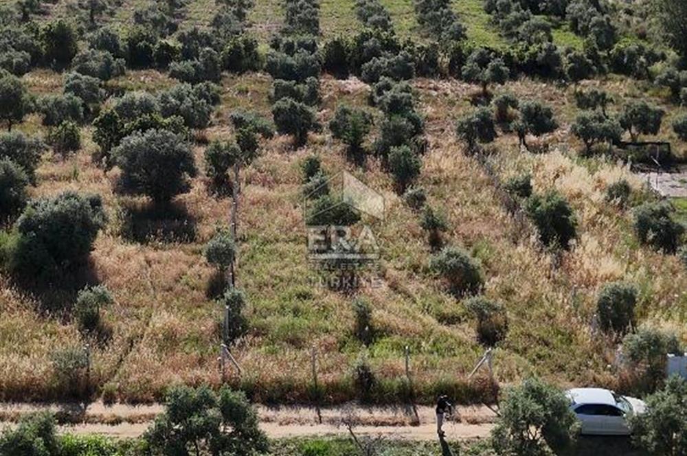 TORBALI DİRMİL TOPTEPESİ MEVKİİNDE 632 m² HİSSE TAPULU ARSA