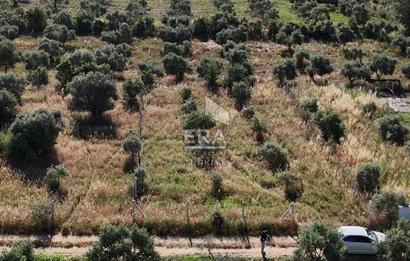TORBALI DİRMİL TOPTEPESİ MEVKİİNDE 632 m² HİSSE TAPULU ARSA