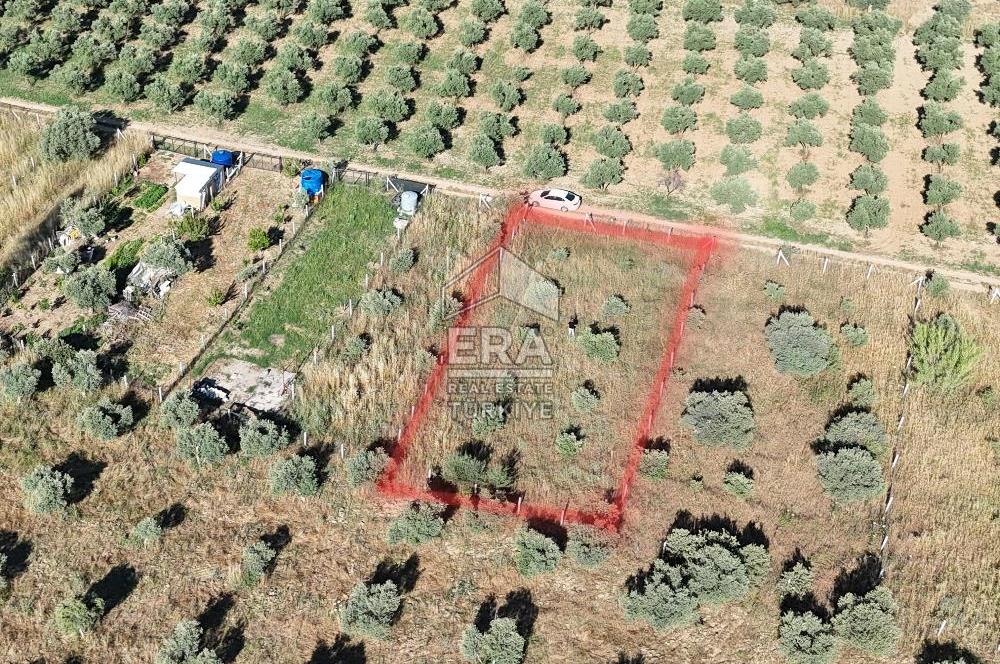 TORBALI DİRMİL TOPTEPESİ MEVKİİNDE 632 m² HİSSE TAPULU ARSA