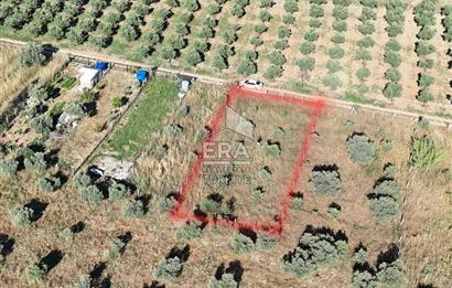 TORBALI DİRMİL TOPTEPESİ MEVKİİNDE 632 m² HİSSE TAPULU ARSA