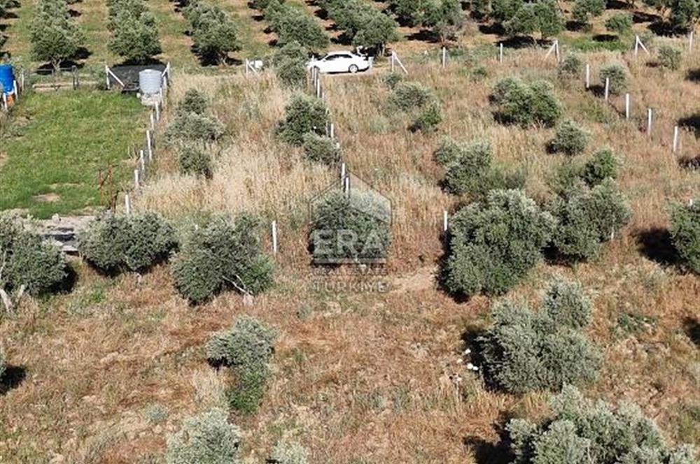 TORBALI DİRMİL TOPTEPESİ MEVKİİNDE 632 m² HİSSE TAPULU ARSA
