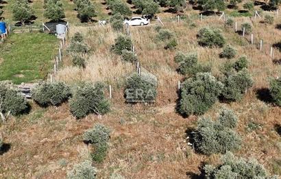 TORBALI DİRMİL TOPTEPESİ MEVKİİNDE 632 m² HİSSE TAPULU ARSA
