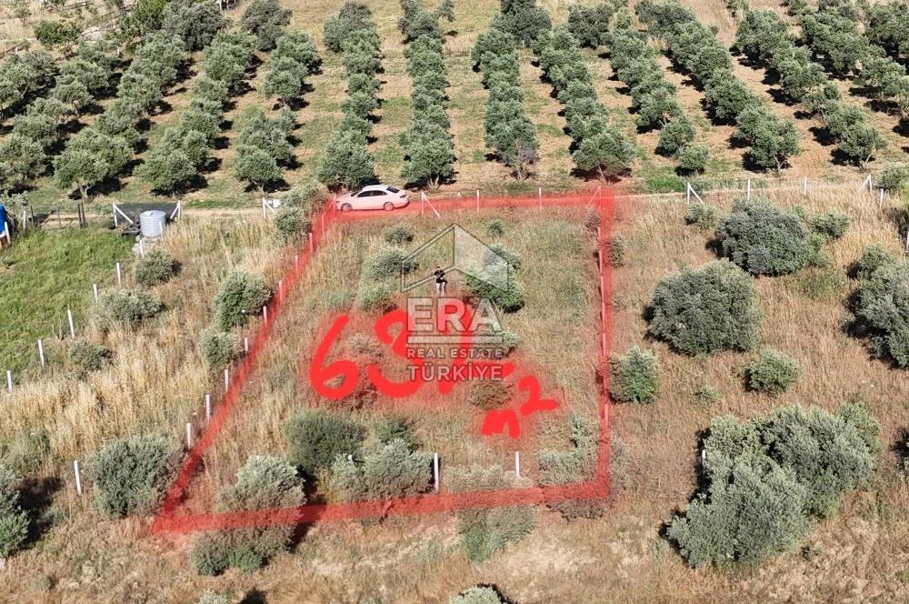 TORBALI DİRMİL TOPTEPESİ MEVKİİNDE 632 m² HİSSE TAPULU ARSA