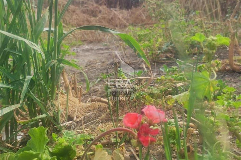 ALBAYRAK MAHALLESİ 4 KAT İMARLI 283 M2 KÖŞE PARSEL ARSA