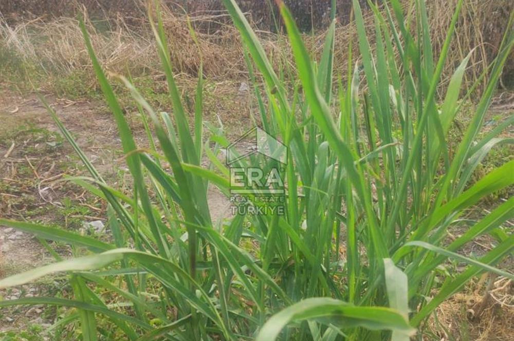 ALBAYRAK MAHALLESİ 4 KAT İMARLI 283 M2 KÖŞE PARSEL ARSA
