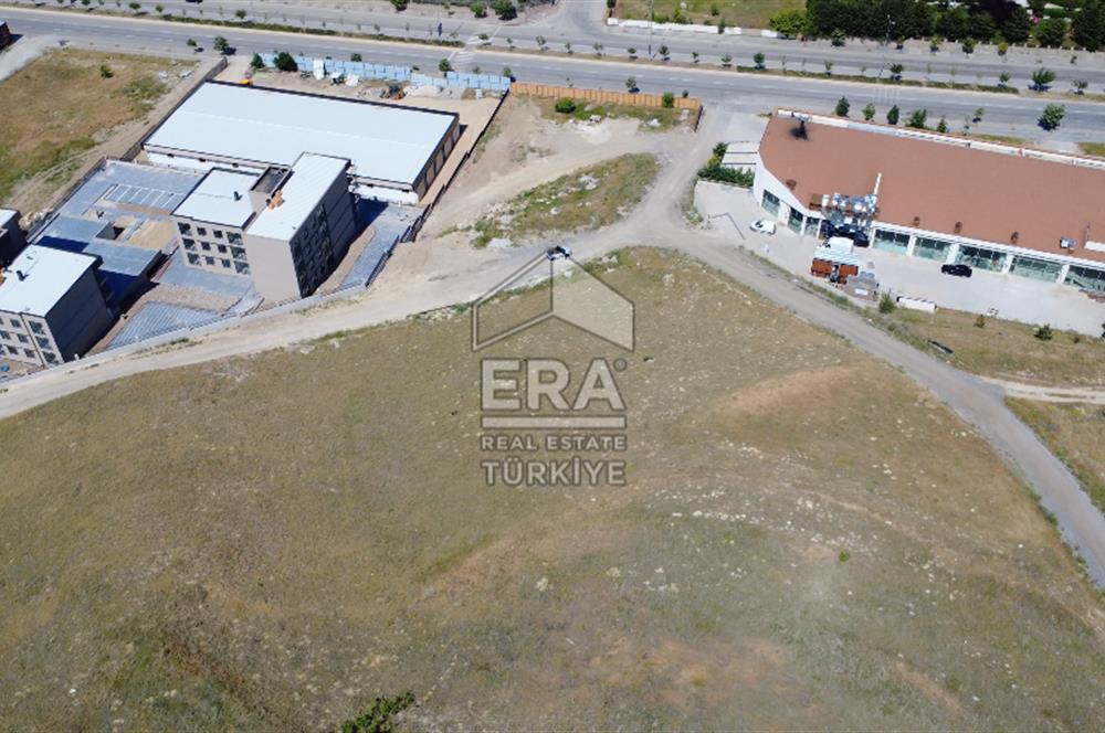 Alacaatlı'da Satılık Emsal 0.50 Arsa