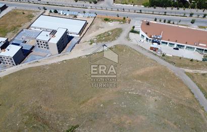 Alacaatlı'da Satılık Emsal 0.50 Arsa