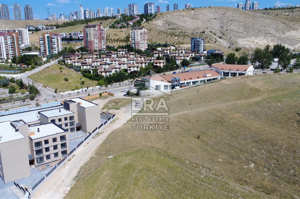 Alacaatlı'da Satılık Emsal 0.50 Arsa