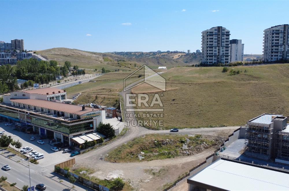 Alacaatlı'da Satılık Emsal 0.50 Arsa