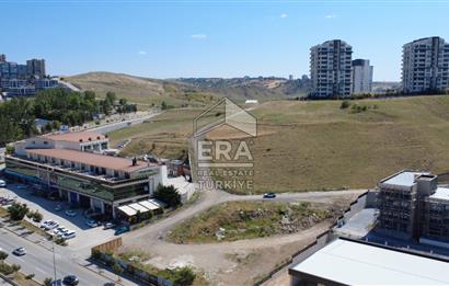 Alacaatlı'da Satılık Emsal 0.50 Arsa