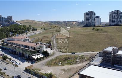 Alacaatlı'da Satılık Emsal 0.50 Arsa