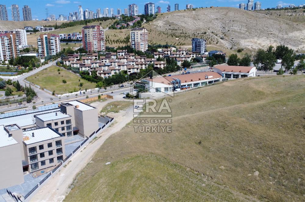 Alacaatlı'da Satılık Emsal 0.50 Arsa