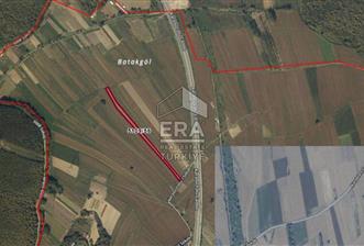 ERA KARAT DEMİRBEYDE 5.304 M2 SATILIK TARLA