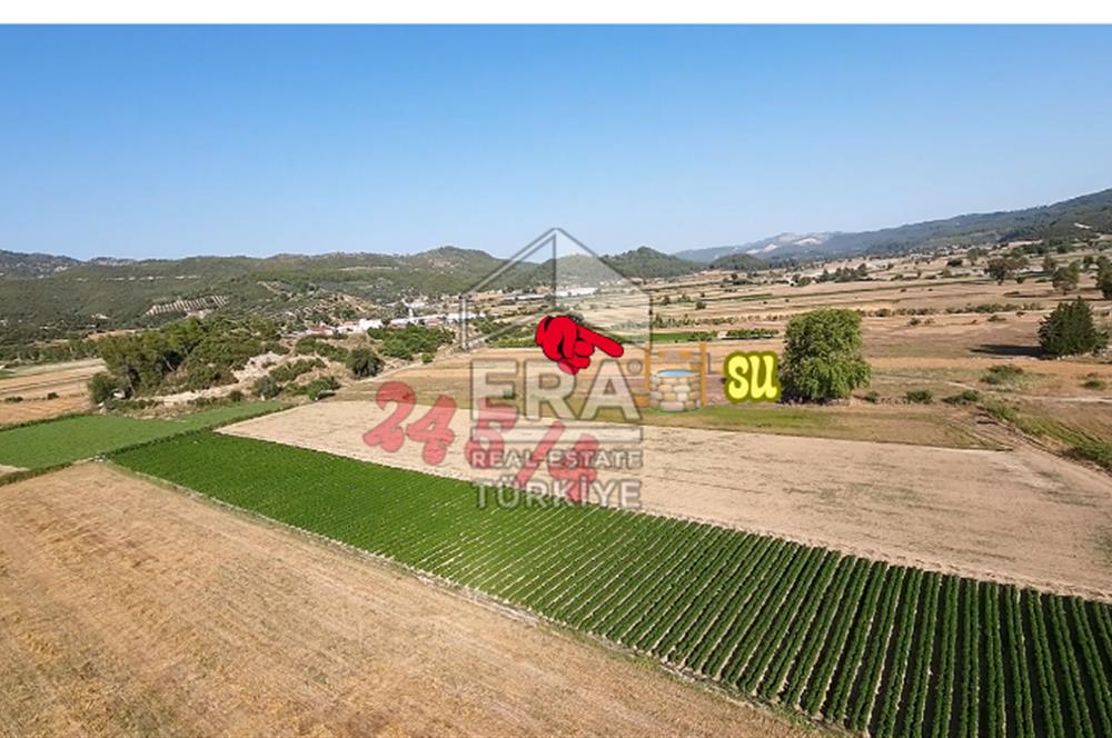 ANTALYA/MANAVGAT SAĞRİN'DE 20 DÖNÜM KİRALIK TARLA