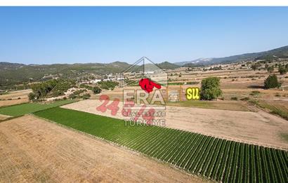 ANTALYA/MANAVGAT SAĞRİN'DE 20 DÖNÜM KİRALIK TARLA