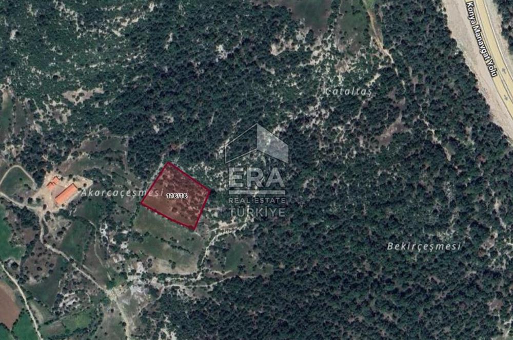 ANTALYA AKSEKİ BUCAKKIŞLA SATILIK TEK TAPU 7968 m² TARLA