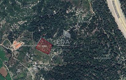 ANTALYA AKSEKİ BUCAKKIŞLA SATILIK TEK TAPU 7968 m² TARLA