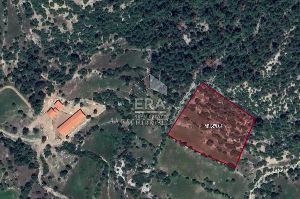 ANTALYA AKSEKİ BUCAKKIŞLA SATILIK TEK TAPU 7968 m² TARLA