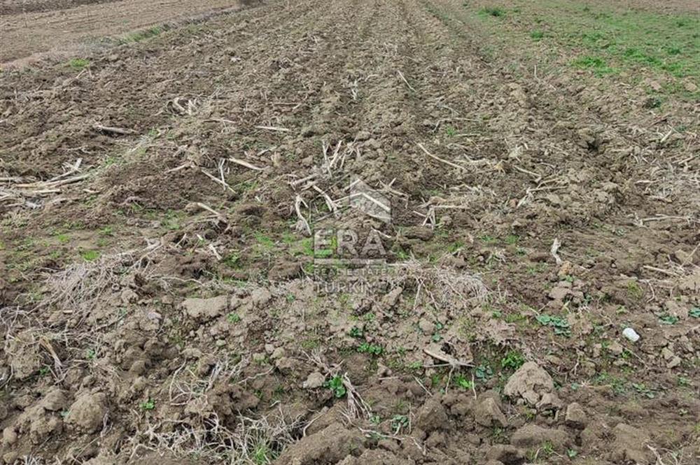 ERA KARAT DEMİRBEYDE 5.304 M2 SATILIK TARLA