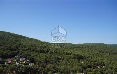 Urla Çeşmealtı Zeytinliköy'de Deniz ve Orman Manzaralı 4+1 Villa