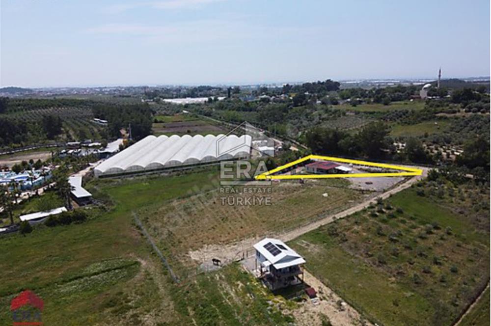 ÇOLAKLI MAHALLESİNDE SATILIK MÜSTAKİL TARLA VE EV