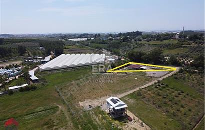 ÇOLAKLI MAHALLESİNDE SATILIK MÜSTAKİL TARLA VE EV