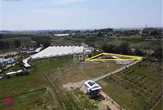 ÇOLAKLI MAHALLESİNDE SATILIK MÜSTAKİL TARLA VE EV