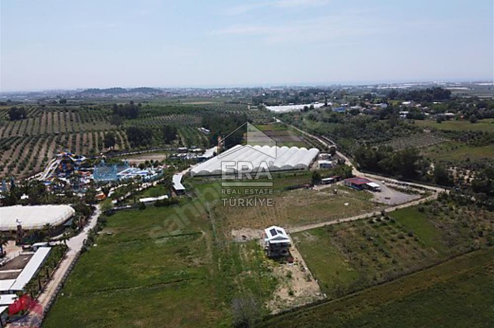 ÇOLAKLI MAHALLESİNDE SATILIK MÜSTAKİL TARLA VE EV