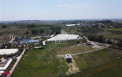 ÇOLAKLI MAHALLESİNDE SATILIK MÜSTAKİL TARLA VE EV