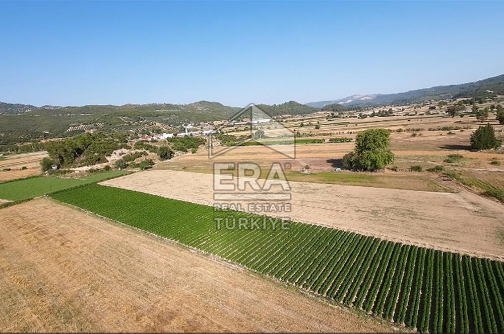 ANTALYA/MANAVGAT SAĞRİN'DE 20 DÖNÜM KİRALIK TARLA