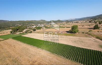 ANTALYA/MANAVGAT SAĞRİN'DE 20 DÖNÜM KİRALIK TARLA
