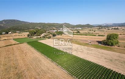 ANTALYA/MANAVGAT SAĞRİN'DE 20 DÖNÜM KİRALIK TARLA