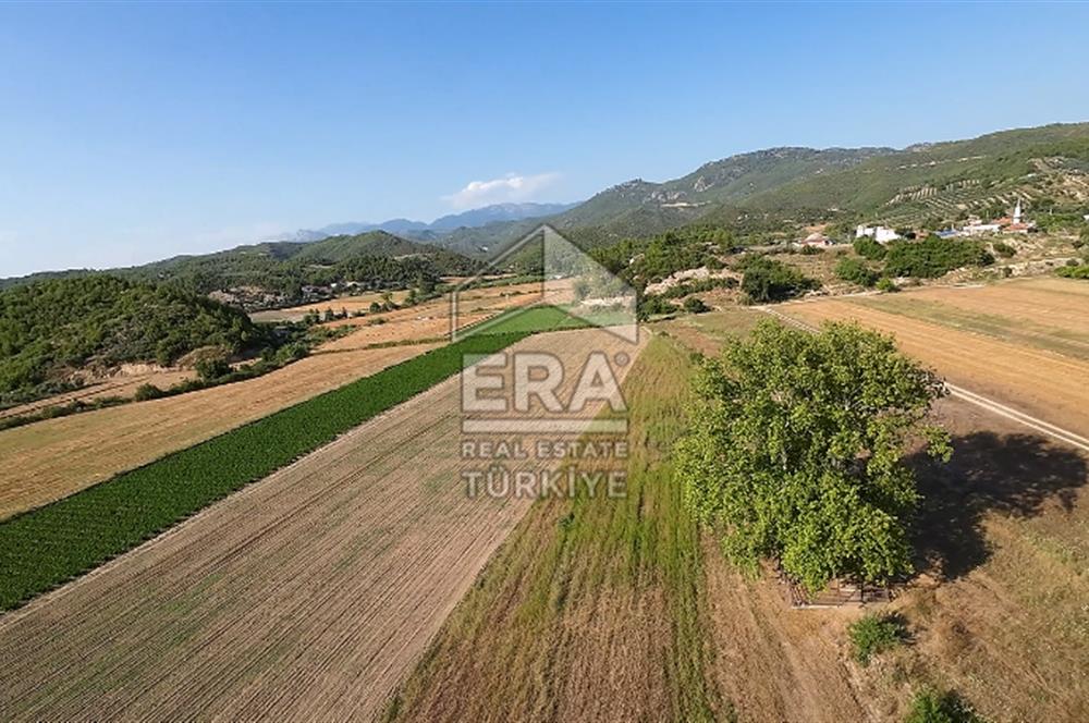 ANTALYA/MANAVGAT SAĞRİN'DE 20 DÖNÜM KİRALIK TARLA