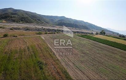 ANTALYA/MANAVGAT SAĞRİN'DE 20 DÖNÜM KİRALIK TARLA