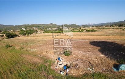 ANTALYA/MANAVGAT SAĞRİN'DE 20 DÖNÜM KİRALIK TARLA
