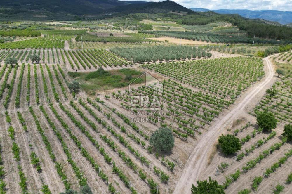 ERA KARAT, AHILAR FLAMİNGO PARKA YAKIN 1585,42 M2 TARLA