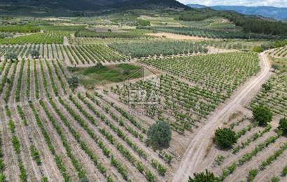 ERA KARAT, AHILAR FLAMİNGO PARKA YAKIN 1585,42 M2 TARLA