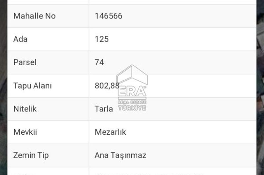 İZMİT KAYNARCA' DA 802 M2  % 5 İMARLI TARLA