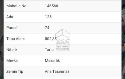 İZMİT KAYNARCA' DA 802 M2  % 5 İMARLI TARLA