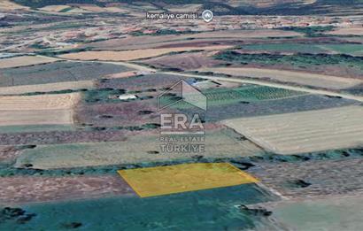 ERA KARAT PAMUKOVA KEMALİYE'DE KÖYE YAKIN 607,89 M2 TARLA