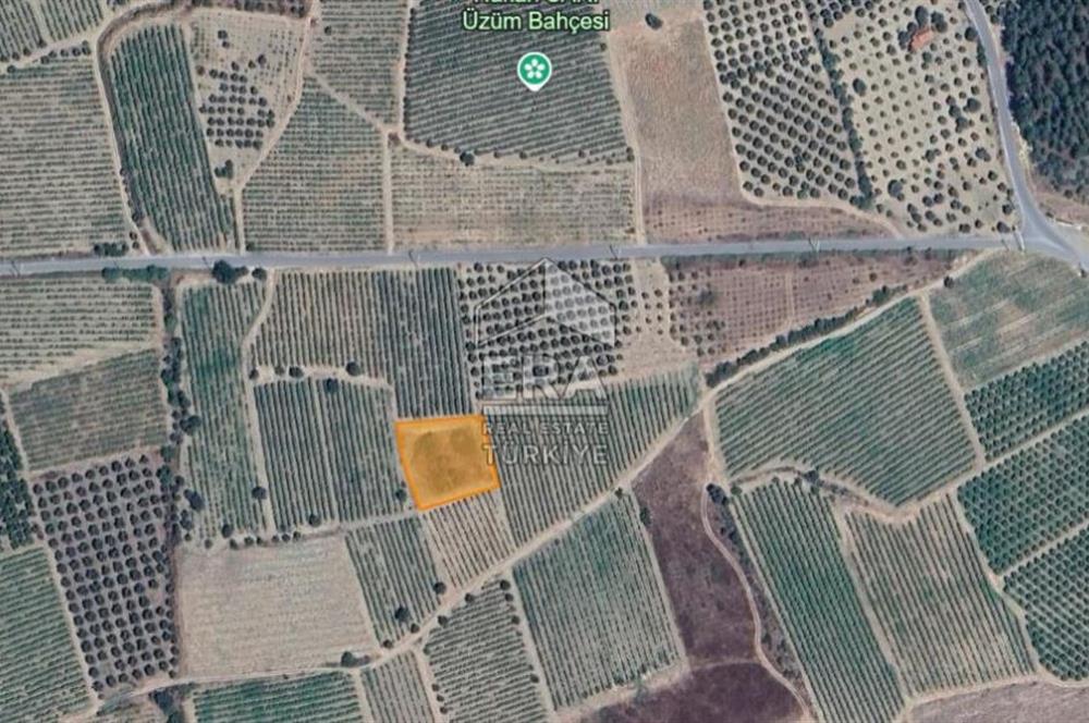 ERA KARAT, AHILAR FLAMİNGO PARKA YAKIN 1585,42 M2 TARLA