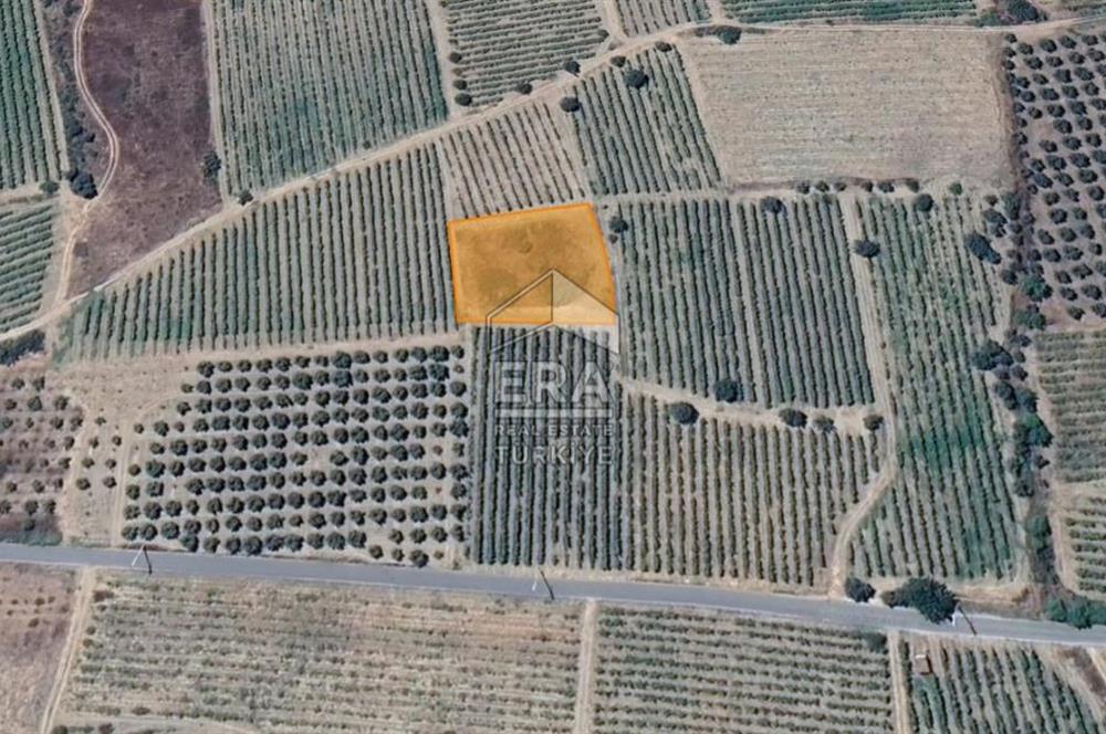 ERA KARAT, AHILAR FLAMİNGO PARKA YAKIN 1585,42 M2 TARLA