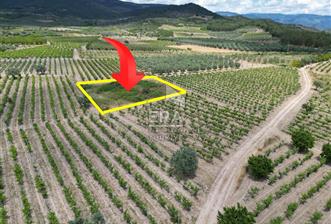 ERA KARAT, AHILAR FLAMİNGO PARKA YAKIN 1585,42 M2 TARLA