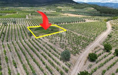 ERA KARAT, AHILAR FLAMİNGO PARKA YAKIN 1585,42 M2 TARLA