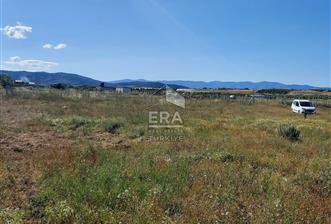  SATILIK TARLA – MENDERES / DEVELİ MAHALLESİ