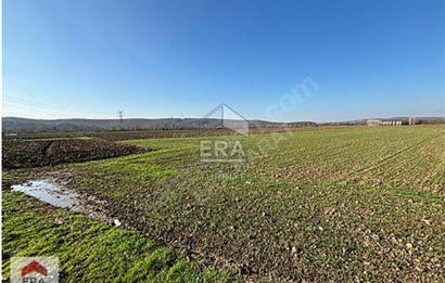ERA KARAT ADAPAZARI DEMİRBEY'DE SATILIK TARLA