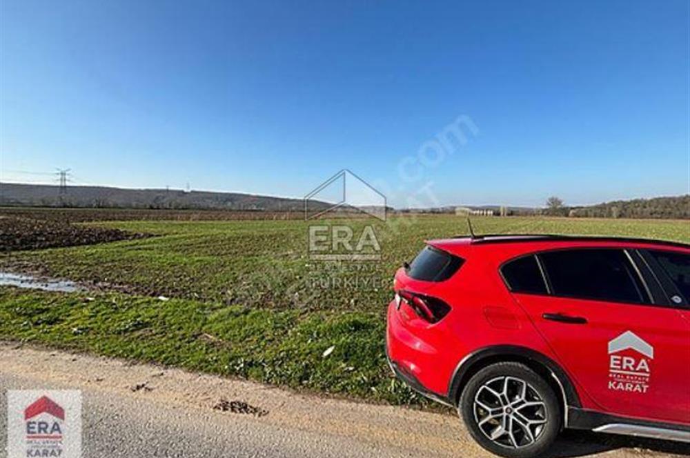ERA KARAT ADAPAZARI DEMİRBEY'DE SATILIK TARLA