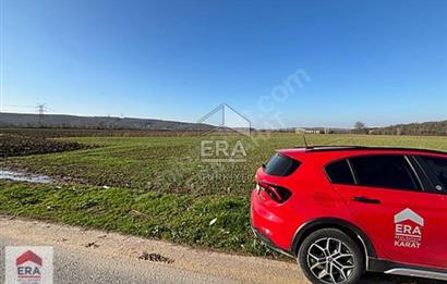 ERA KARAT ADAPAZARI DEMİRBEY'DE SATILIK TARLA