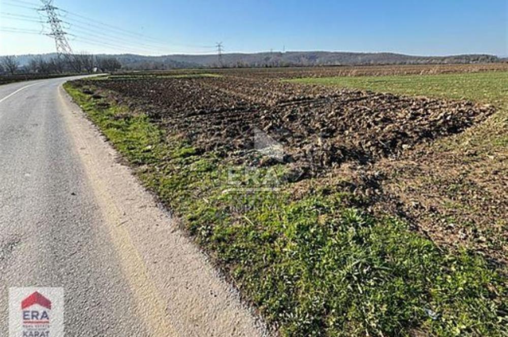 ERA KARAT ADAPAZARI DEMİRBEY'DE YOLA CEPHELİ SATILIK TARLA
